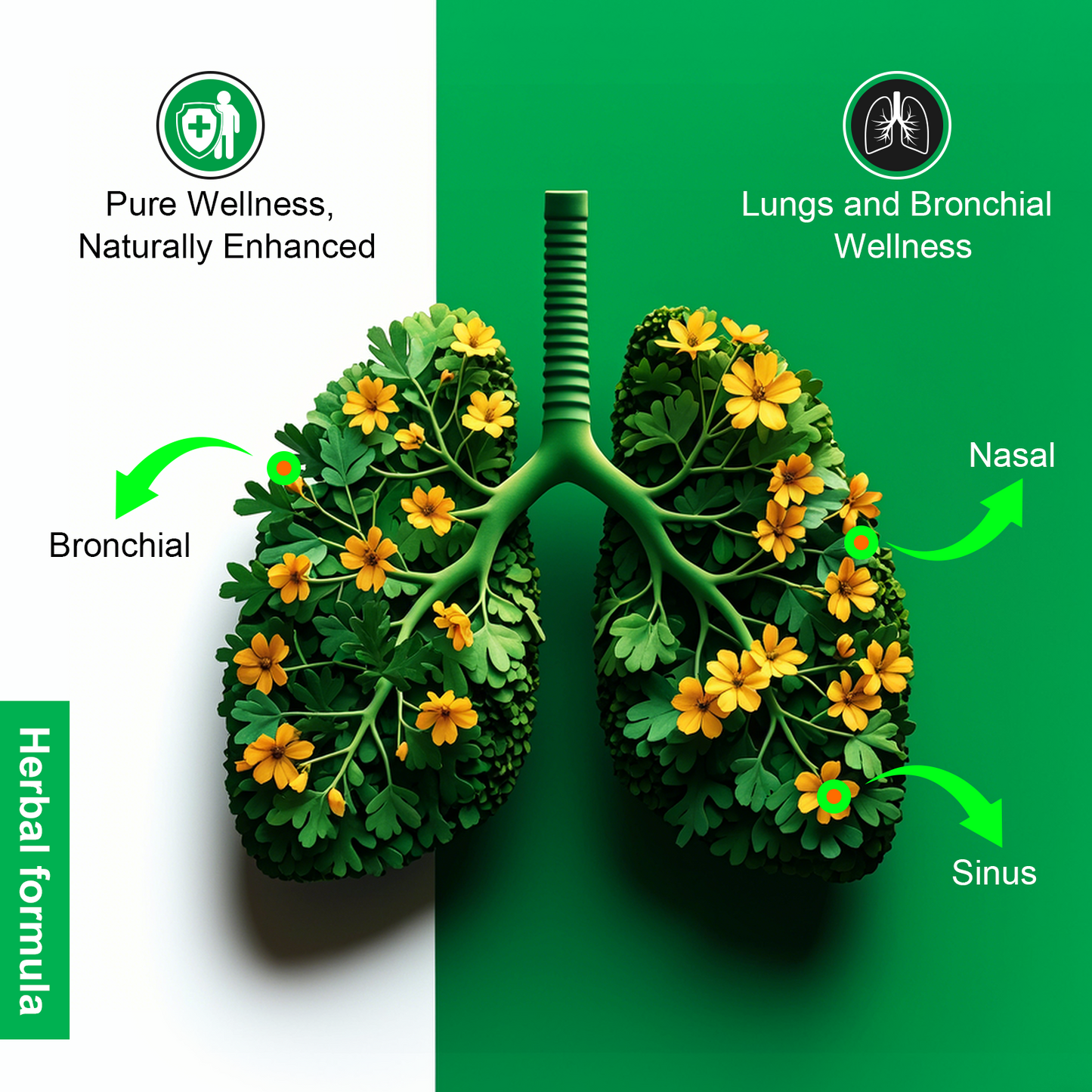 Mullein Leaf Extract for Lungs Softgels, Lung Cleanse Lung Detox for Smokers, Respiratory Support Lung and Bronchial Support, Vegan, Non-GMO, Immune Digestive Support